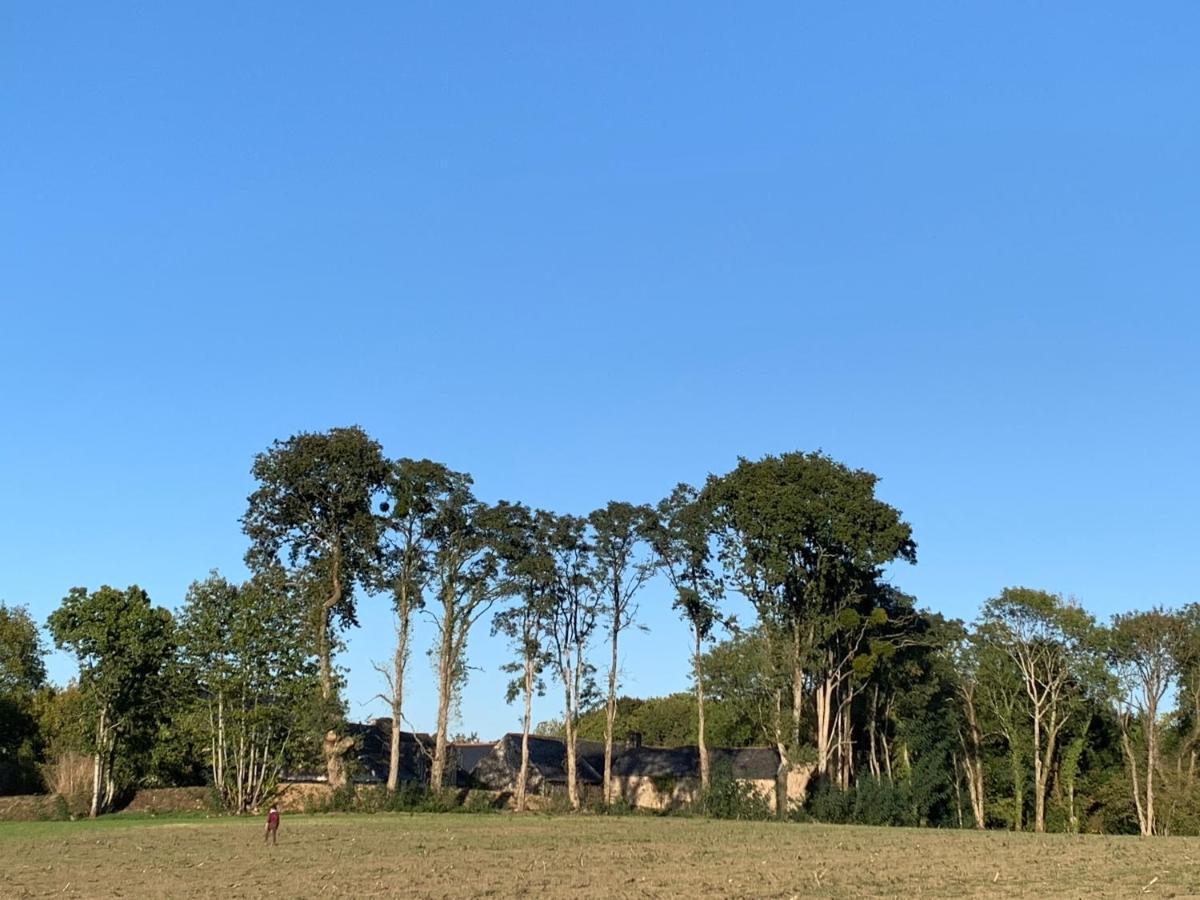 Jolie Metairie D'Une Seigneurie Bretonne. Peaule Dış mekan fotoğraf